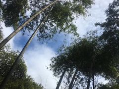 -会稽山峡洞漂流-上青古道