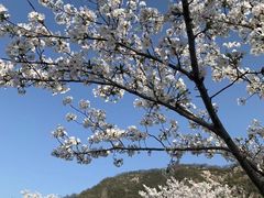 -幕燕滨江·长江观音景区