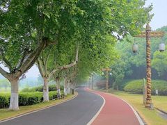 -宜兴龙背山森林公园