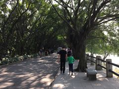 -大湾区中央湿地公园