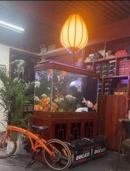 -刺客者联盟纹身·洗纹身工作室