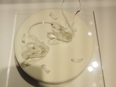 -BLACKSWAN黑天鹅(环球店)
