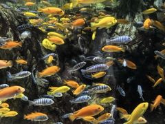 -太平洋海底世界