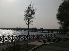 -丁香湖公园