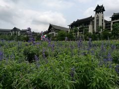 -清远熹乐谷温泉度假酒店