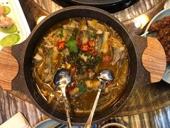 椒汽鱼-蓝珊瑚蒸汽海鲜餐厅(龙奥店)