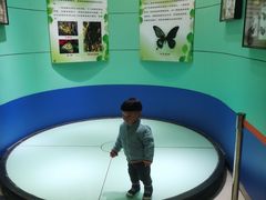 -上海昆虫博物馆