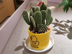 -海底捞火锅(旭辉MALL店)