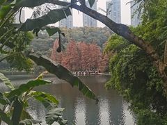 -重庆彩云湖湿地公园