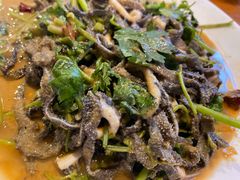 -義聚德·清真铜锅涮羊肉·烧烤(河东店)