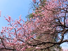 -吉林大学(南岭校区)