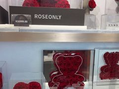 -ROSEONLY诺誓(广州K11店)
