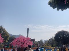 -南湖梦幻岛