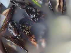 -坛南湾阿强农家乐.海鲜大排档老字号(福州地标美食店)