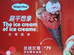 -哈根达斯(陆家浜路店)