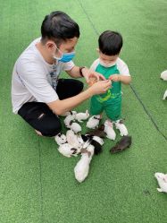 -萌宠亲子动物乐园(槐房万达店)