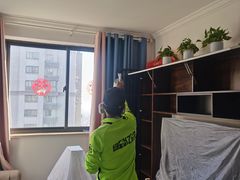 -绿色亿家除甲醛机构