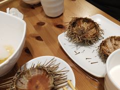 -海胆小馆(东北水饺·春柳店)