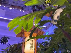 -桂满陇·杭州小馆(朝阳合生汇店)