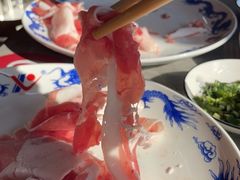 -鑫龙火锅城(阳光新路店)
