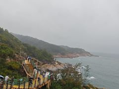 -广东惠东海龟国家级自然保护区