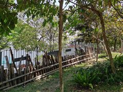 -福田红树林生态公园