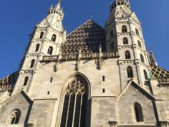 -斯蒂芬主教座堂(Stephansdom)