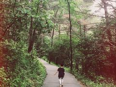 -帽儿山国家森林公园