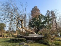 -长田漾湿地公园