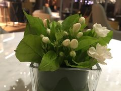 -三迪希尔顿酒店·星空酒廊