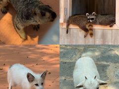 -南戴河国际娱乐中心