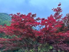 -安徽天堂寨风景区