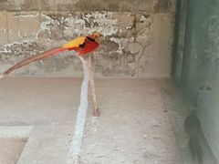 -森林公园(尖草坪区)