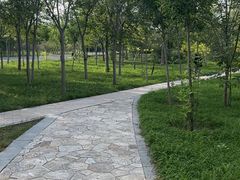 -天津东丽湖风景区