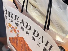 -面包日报