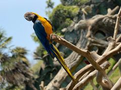 -杭州野生动物世界