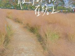 -嘉北郊野公园