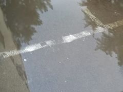 -山东大学(趵突泉校区)