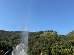 -西双版纳原始森林公园