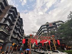 -泡桐树街