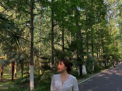 -合肥滨湖国家森林公园