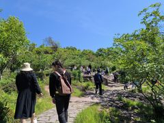 -汤山公园