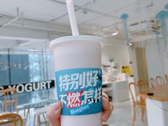 -Blueglass酸奶(华贸购物中心店)