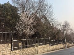 -北京十三陵国家森林公园蟒山景区