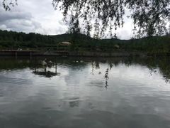 -哈尔滨北方森林动物园