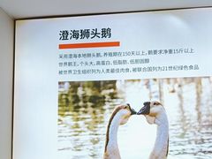 -陆记鹅庄·潮汕菜·狮头鹅(大仟里店)