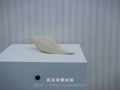 -青岛贝壳博物馆