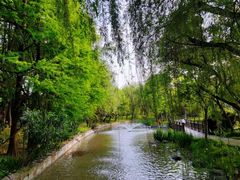-长广溪湿地公园