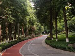 -龙头寺公园