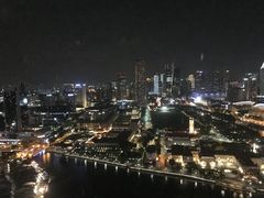 -桃苑(华侨银行大厦店)